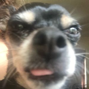 Meet your Posher, Martina